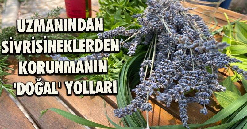 Uzmanından sivrisineklerden korunmanın 'doğal' yolları