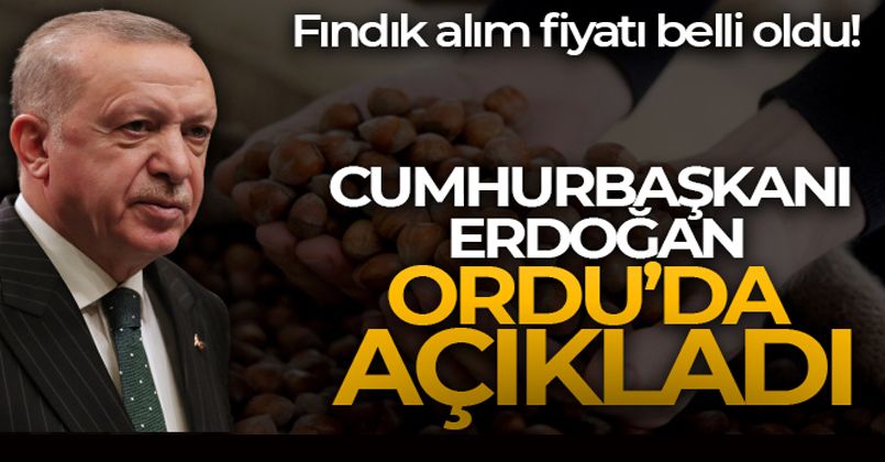 Cumhurbaşkanı Erdoğan fındık alım fiyatını açıkladı