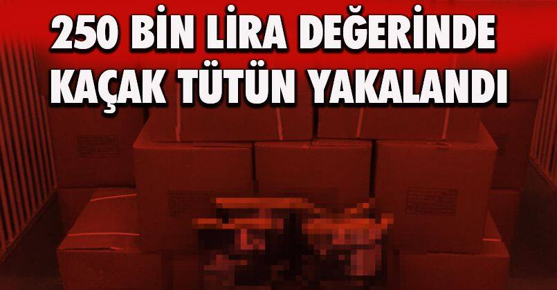 250 bin lira değerinde kaçak tütün yakalandı