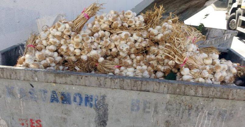 Kilolarca Taşköprü sarımsağını çöp konteynerine attılar