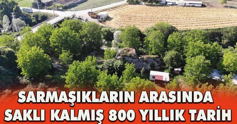 Sarmaşıkların arasında saklı kalmış 800 yıllık tarih
