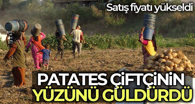 Patates, çiftçinin yüzünü güldürdü