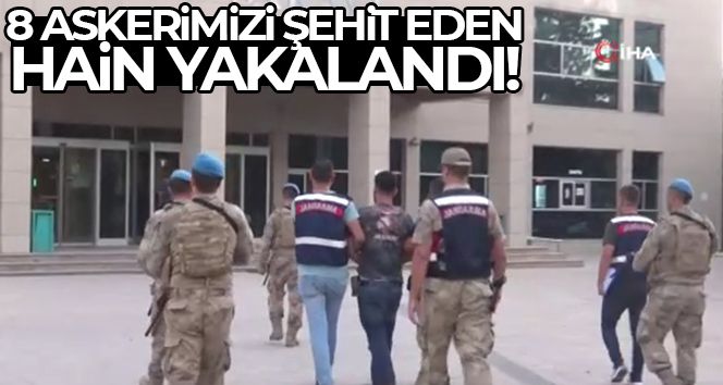 8 askerin katıl zanlısı PKK-KCK'lı terörist yakalandı