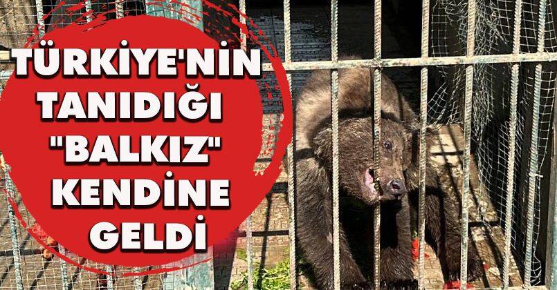 Türkiye'nin tanıdığı