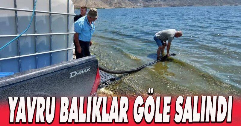 Bolu’da üretilen balıklar Ankara’nın göllerine salındı