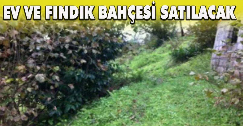 Ev Ve Fındık Bahçesi Satılacak