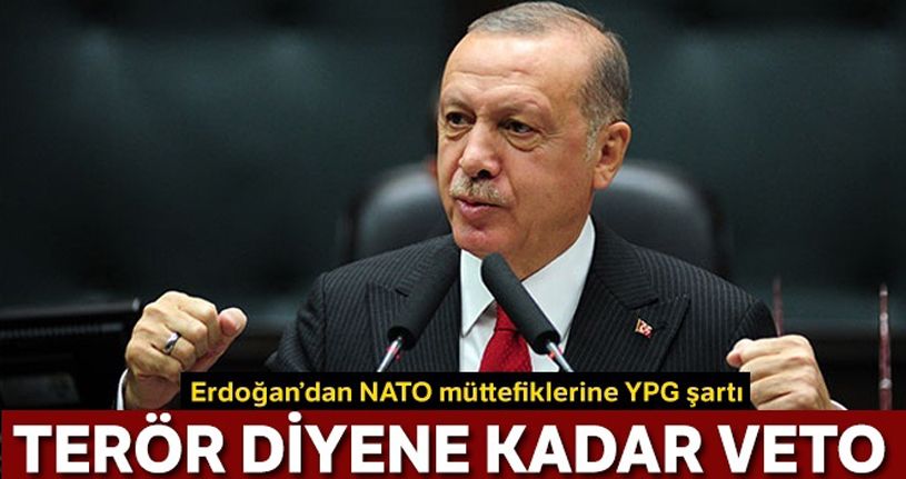 Cumhurbaşkanı Erdoğan: Terör demezseniz biz de veto ederiz