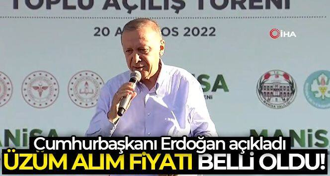 Cumhurbaşkanı Erdoğan üzüm alım fiyatını açıkladı