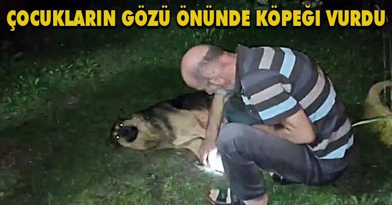 Çocukların gözü önünde köpeği vurdu