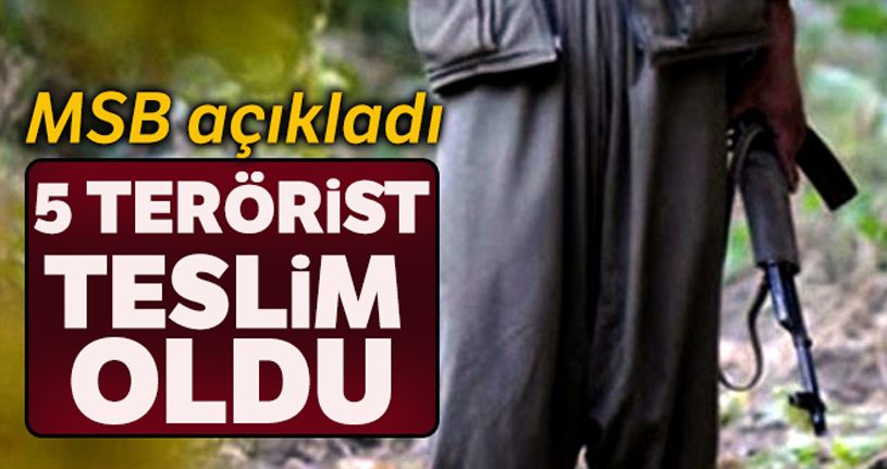 MSB: '5 PKK'lı terörist Silopi'de teslim oldu'