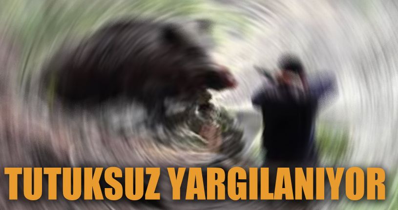 Domuz avında arkadaşını vuran şahıs hakim karşısında