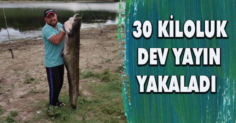 Sakarya’da 30 kiloluk dev yayın yakaladılar