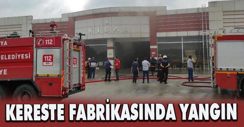 Kereste fabrikasında korkutan yangın