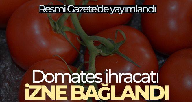 Domates ihracatı izne bağlandı