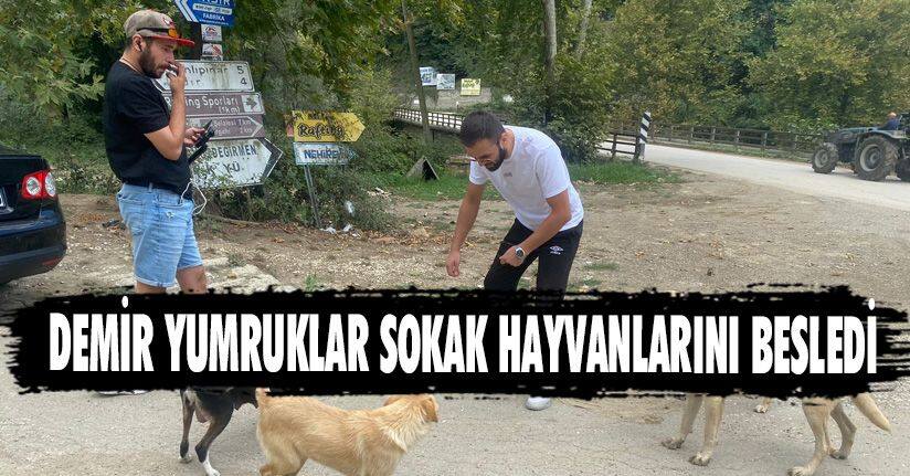 Demir Yumruklar Sokak Hayvanlarını Besledi