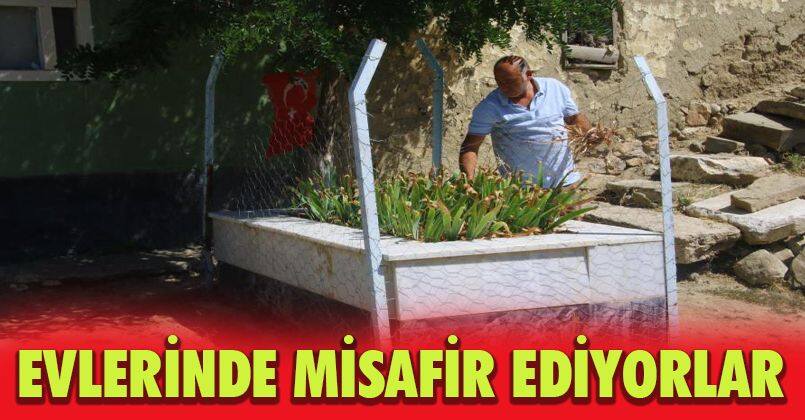 Sakarya Meydan Muharebesi şehitlerini bir asırdır evlerinde misafir ediyorlar