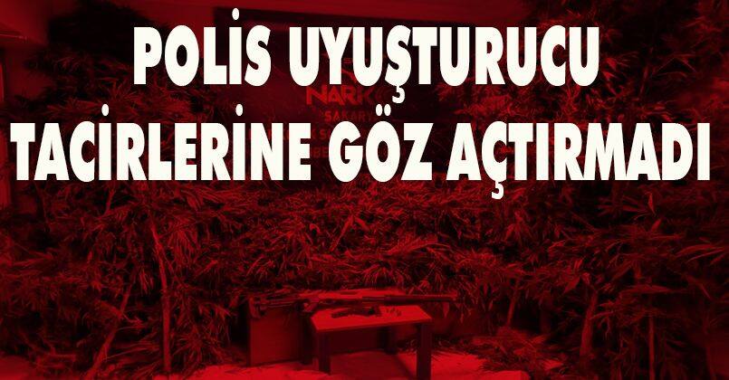 Polis uyuşturucu tacirlerine göz açtırmadı: 1 haftada 100 kişi yakalandı
