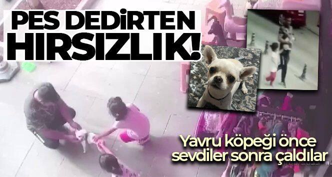 Pendik'te pes dedirten hırsızlık