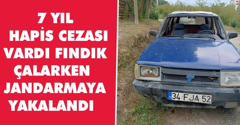 7 yıl hapis cezası vardı, fındık çalarken jandarmaya yakalandı