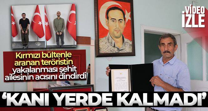 Kırmızı bültenle aranan teröristin yakalanması şehit ailesinin acısını dindirdi