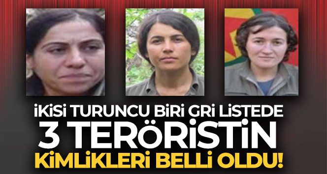 Eren Abluka'da etkisiz hale getirilen 3 teröristlerin kimlikleri belli oldu