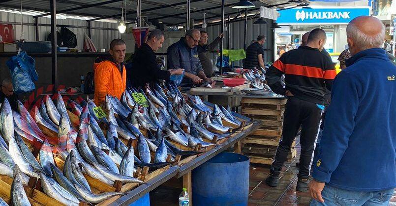 Zonguldak'ta palamudun fiyatı yükselişe geçti