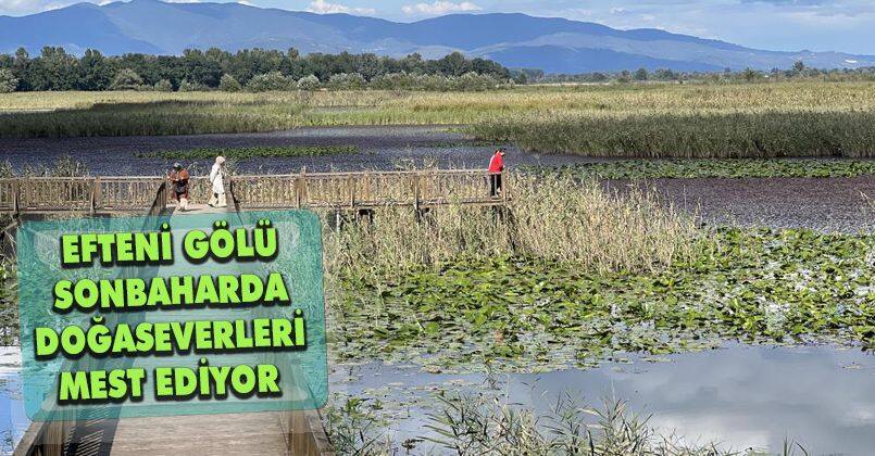 Efteni Gölü, sonbaharda doğaseverleri mest ediyor
