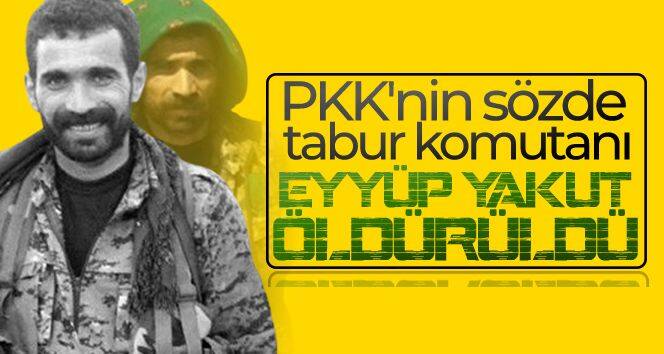 PKK'nin sözde tabur komutanı Eyyüp Yakut öldürüldü