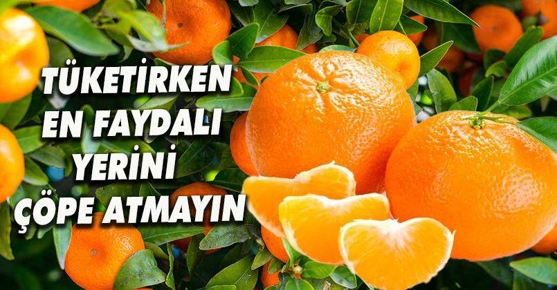 Mandalinanın Faydaları Nelerdir? 