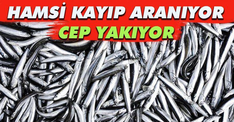 Karadeniz hamsisi tezgahlarda yerini almayı bekliyor