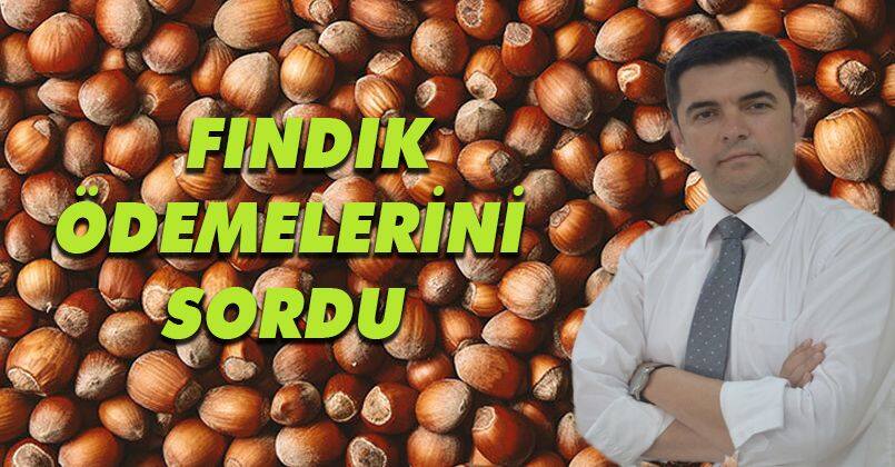 Fındık Ödemelerini Sordu