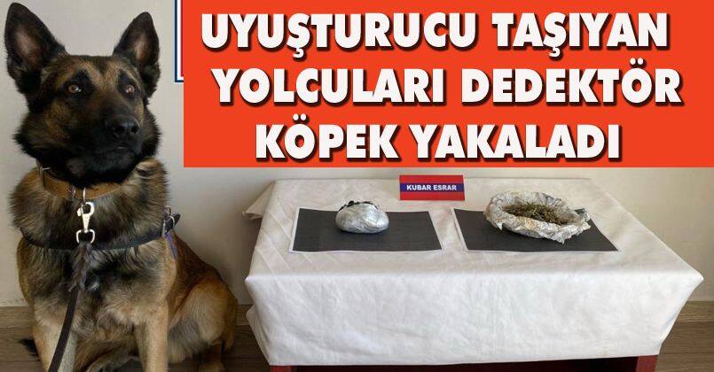 Uyuşturucu taşıyan yolcuları dedektör köpek yakaladı