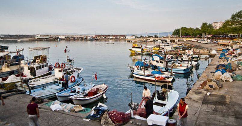 Karadeniz'de avlanan ince hamsi, diğer balık çeşitlerini tehdit ediyor