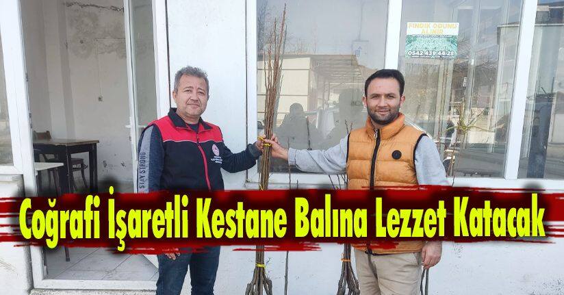 Coğrafi İşaretli Kestane Balına Lezzet Katacak