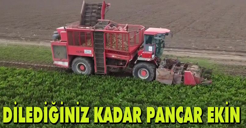 Amasya Şeker'den çiftçilere çağrı: 'Dilediğiniz kadar pancar ekin'
