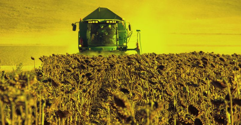 Tarım-ÜFE yıllık yüzde 169,45 arttı