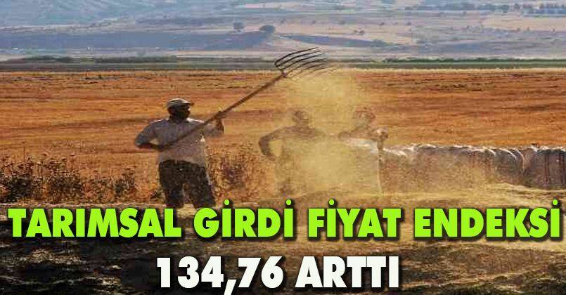 Tarımsal girdi fiyat endeksi ekimde yıllık yüzde 134,76 arttı