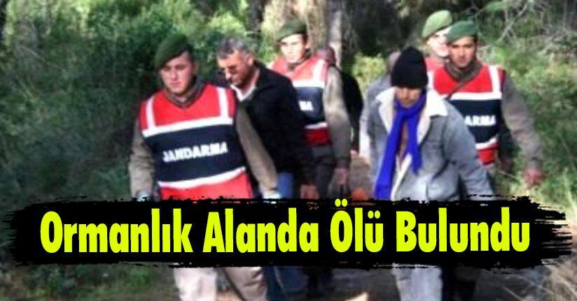 Ormanlık Alanda Ölü Bulundu