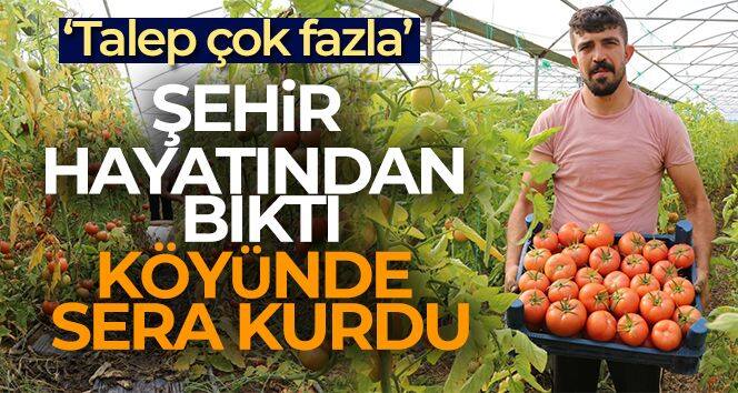 Şehir hayatını bırakıp köyünde sera kurdu