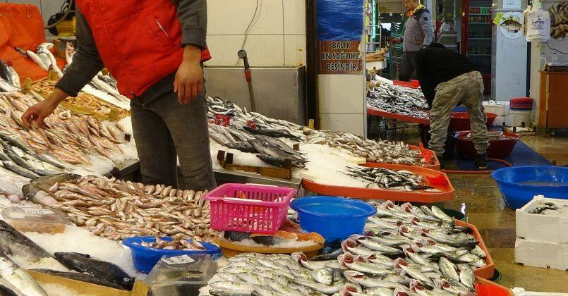 Balık fiyatları geriledi, hamsinin fiyatı 110 TL'den 60 TL'ye düştü