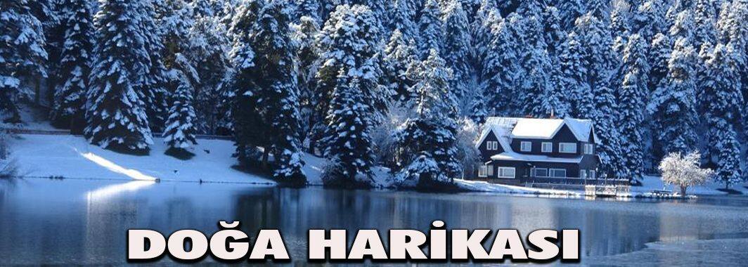 Doğa harikası Gölcük Tabiat Parkı beyaza büründü