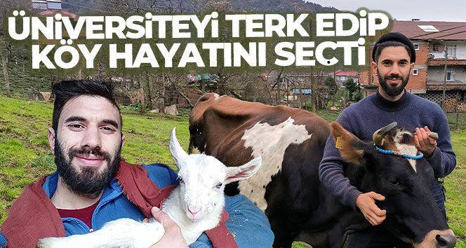 Üniversiteyi terk etti, köy hayatını seçti