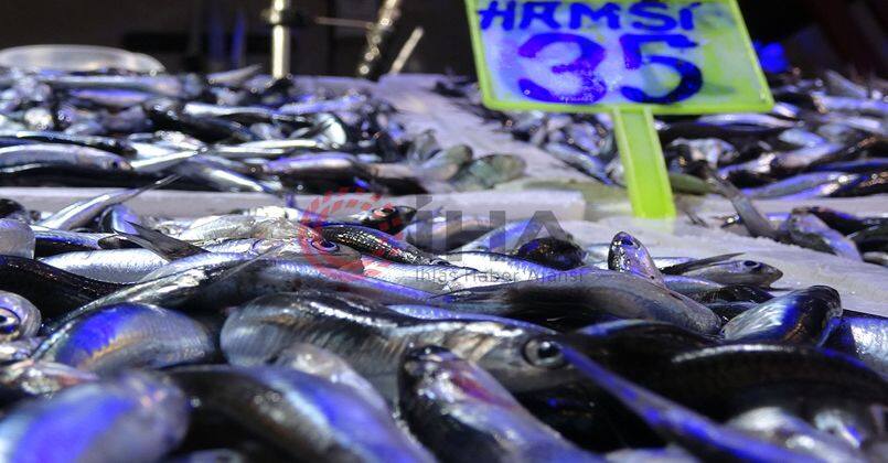 Gürcü hamsisi 30, Sinop hamsisi 60 TL