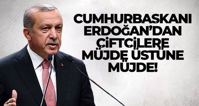 Cumhurbaşkanı Erdoğan'dan çiftçilere müjde üstüne müjde