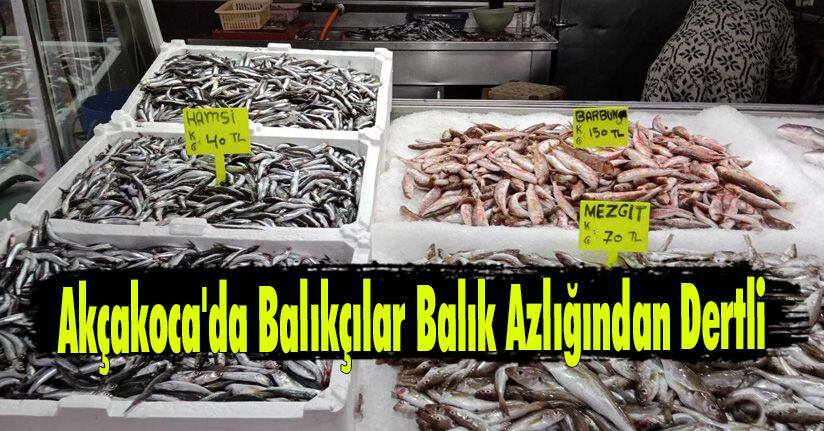 Akçakoca'da Balıkçılar Balık Azlığından Dertli