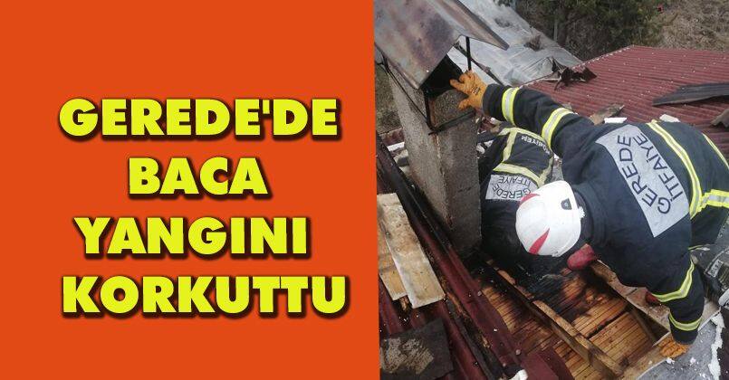 Gerede'de baca yangını korkuttu