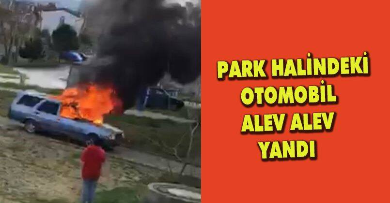 Park halindeki otomobil alev alev yandı