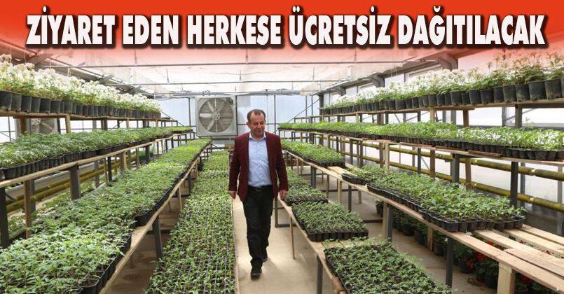 Ziyaret eden herkese ücretsiz dağıtılacak