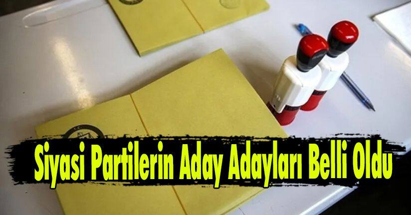 Siyasi Partilerin Aday Adayları Belli Oldu