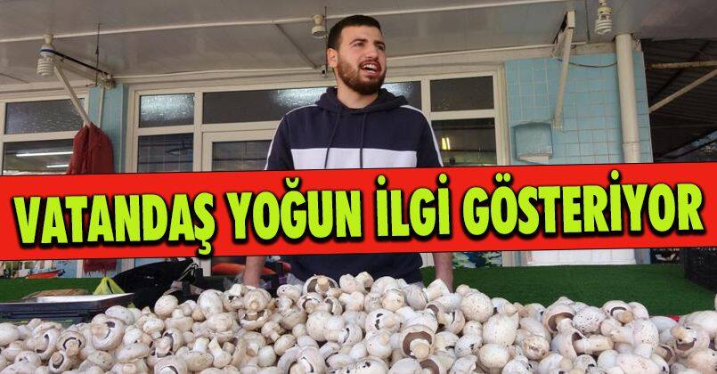 Genç çiftçi binbir emekle toplayıp 30 liraya satıyor